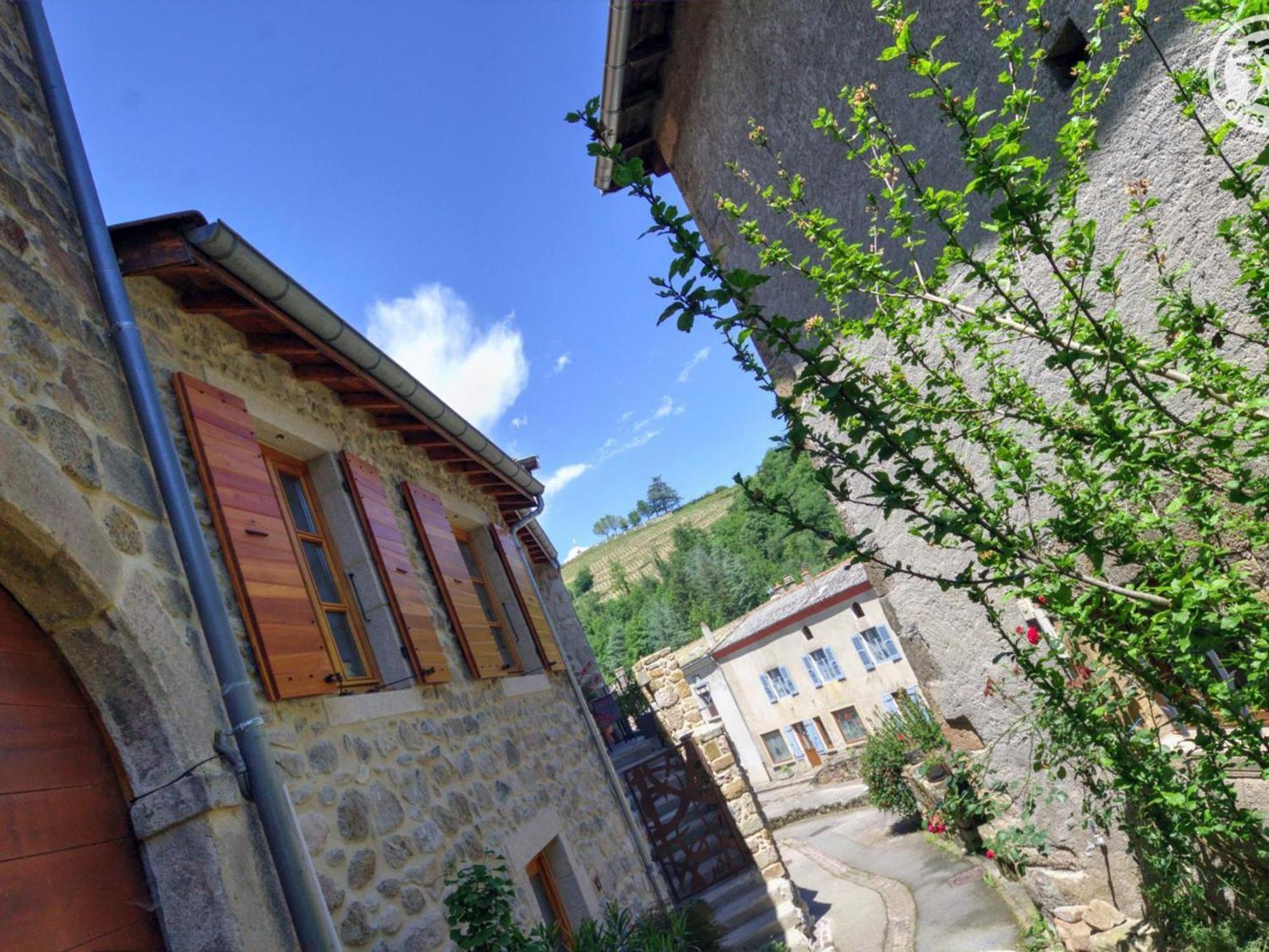 Gite De Charme Avec 2 Terrasses, Au Coeur Du Parc Du Pilat, Confortable Et Equipe - Fr-1-496-40 Malleval Экстерьер фото