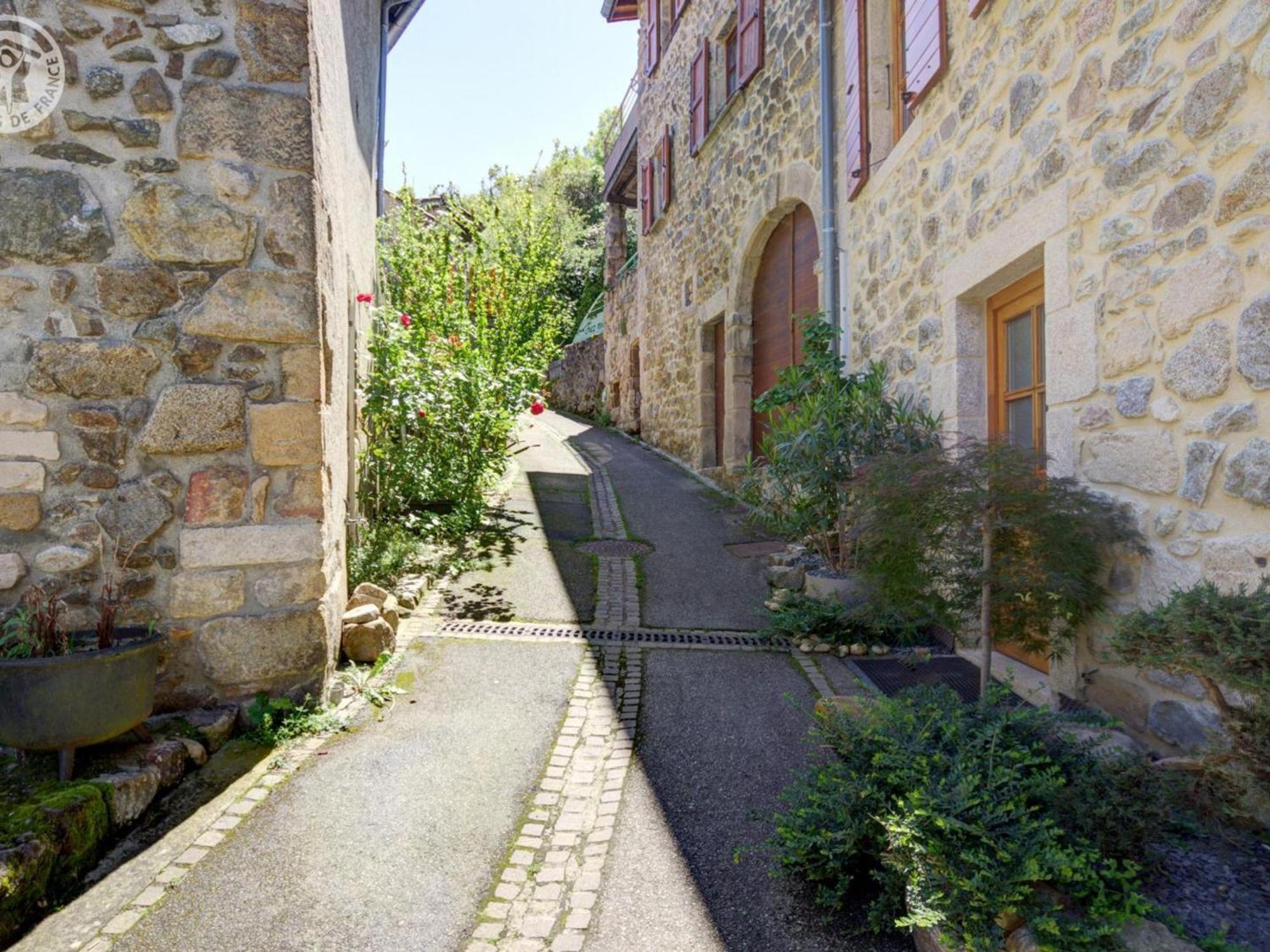 Gite De Charme Avec 2 Terrasses, Au Coeur Du Parc Du Pilat, Confortable Et Equipe - Fr-1-496-40 Malleval Экстерьер фото